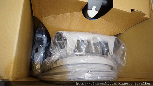 20241016-qv9qp
